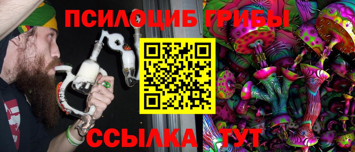 Псилоцибиновые грибы мицелий Кизляр