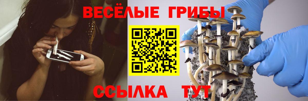 Псилоцибиновые грибы Magic Shrooms  Псилоцибиновые грибы MAGIC MUSHROOMS  Вход с VPN  дарнет шоп  Кизляр 